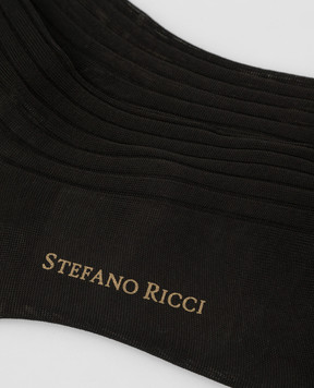 Stefano Ricci Темно-коричневі шкарпетки в рубчик C009UN0001C009UN