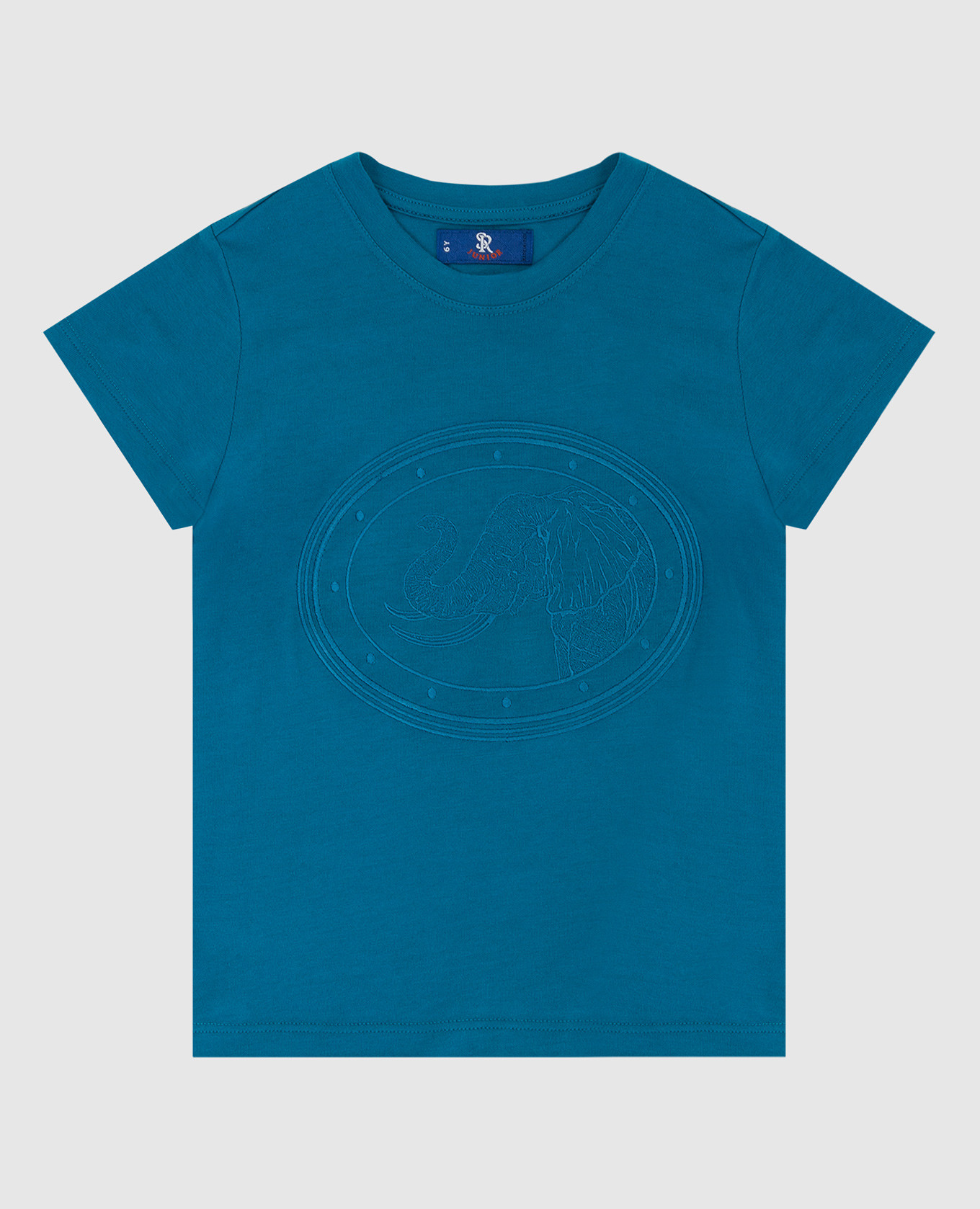 Children's turquoise t-shirt with embroidery