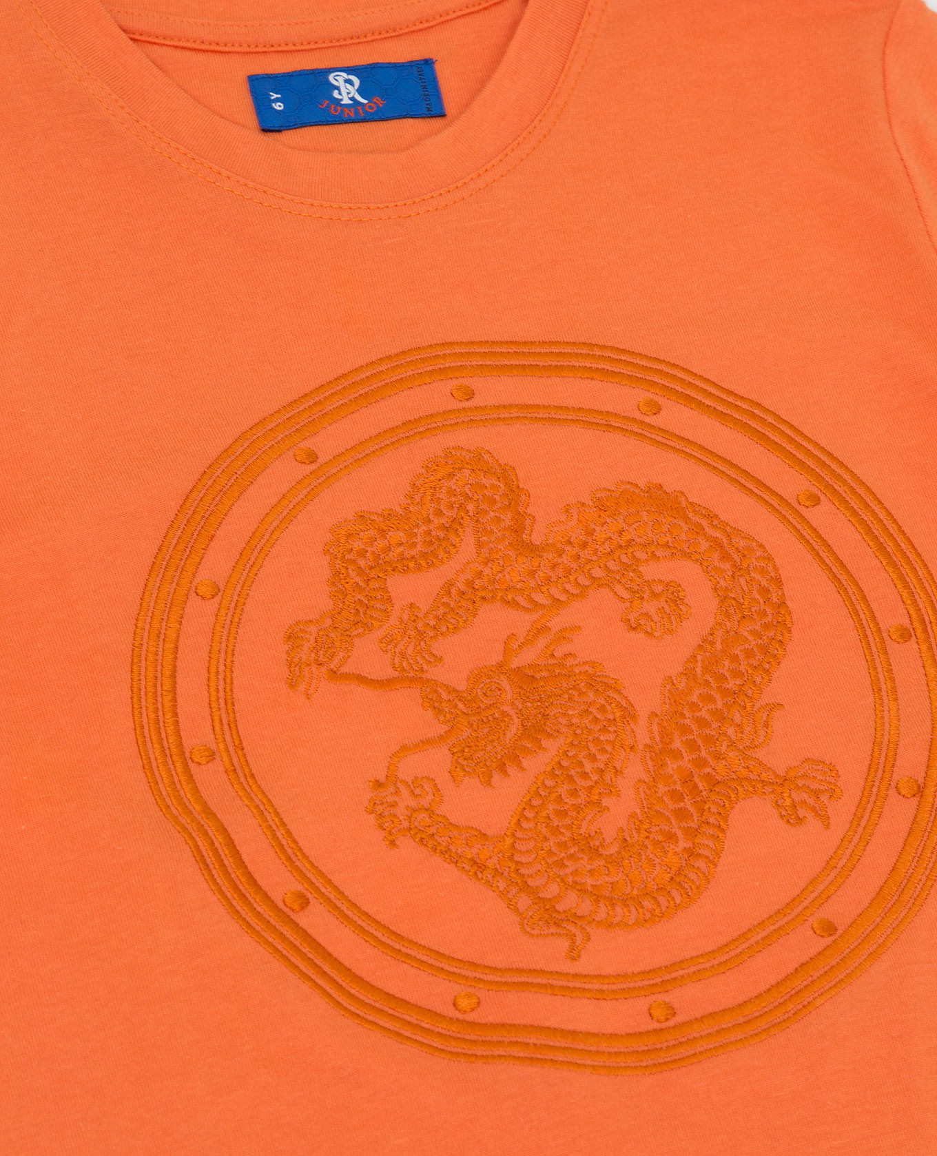 Stefano Ricci Детская оранжевая футболка с вышивкой YNH9200050803 изображение 3