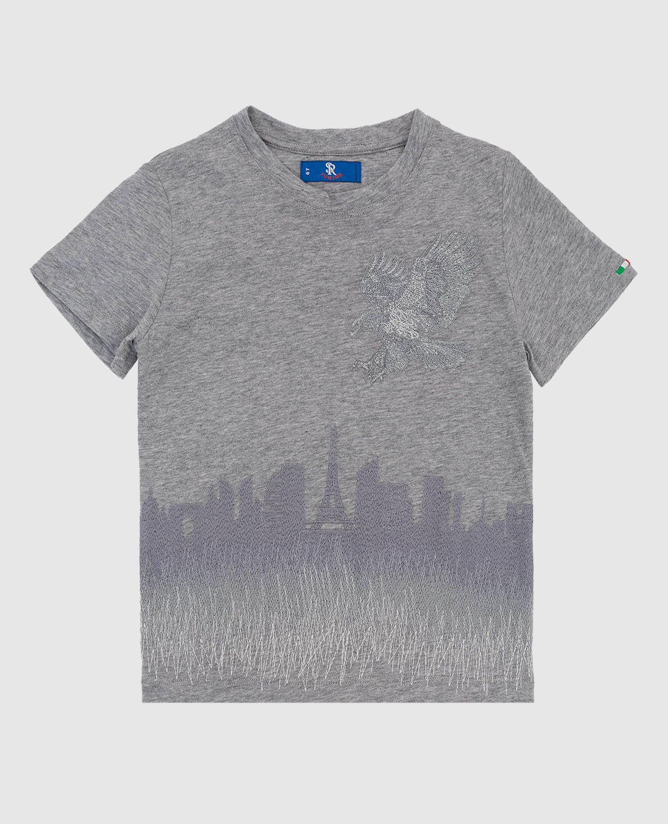 Children's gray t-shirt with embroidery