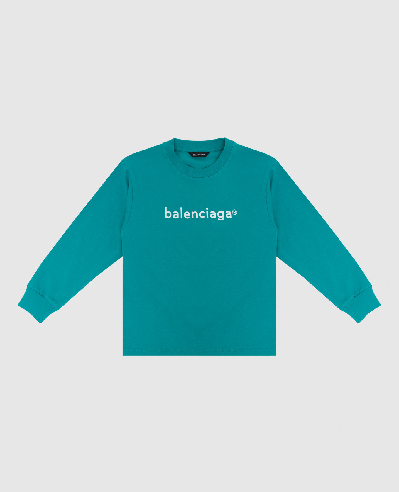 

Свитшот с принтом логотипа, Голубой, Худи и свитшоты